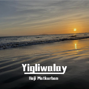 肉版银河自慰队H版
